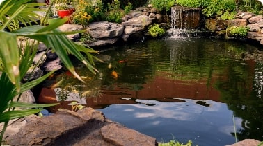 NO AQUATIC SETBACKS