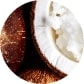 1-MONOLAURIN: