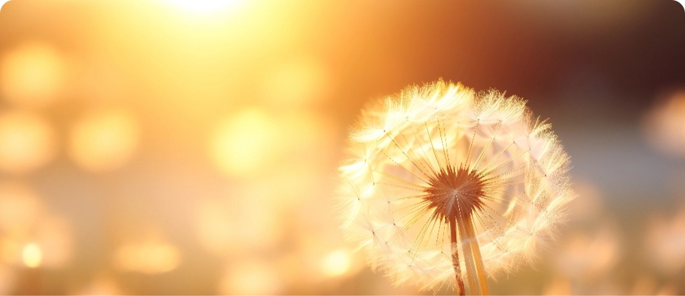 FRESH, CLEAN SCENT (FOR YOU — NOT RABBITS!)