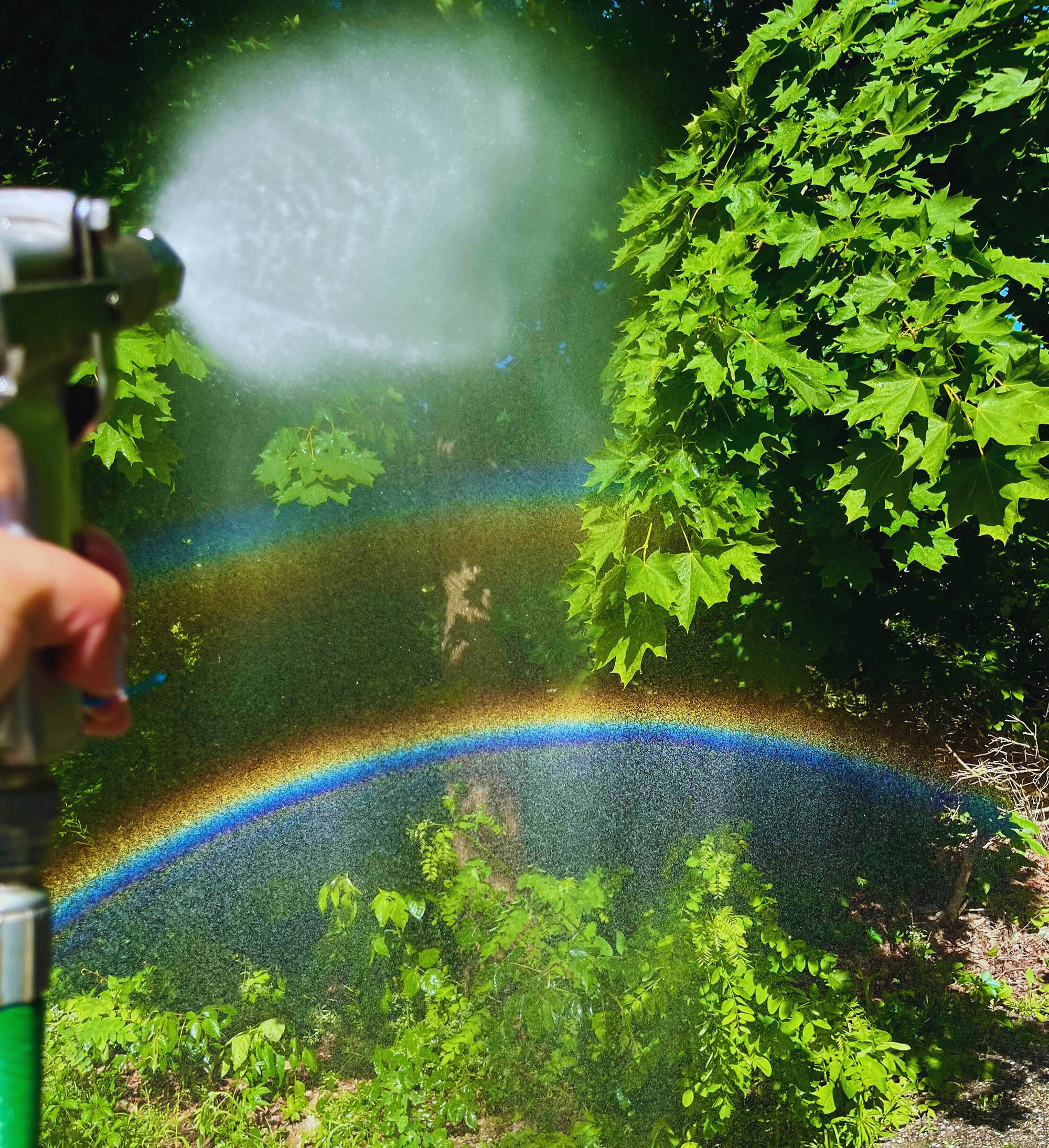 A photo of the mosquito and tick control spray in action over a backyard pond.