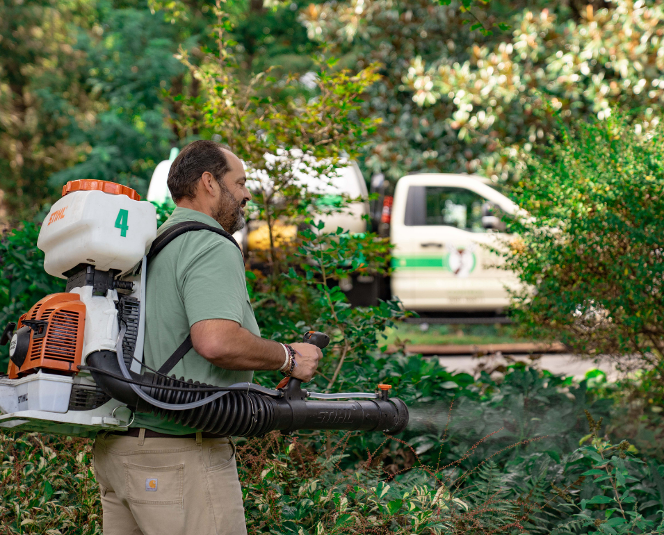 Professional landscaper applying treatment to plants with a Stihl backpack sprayer.