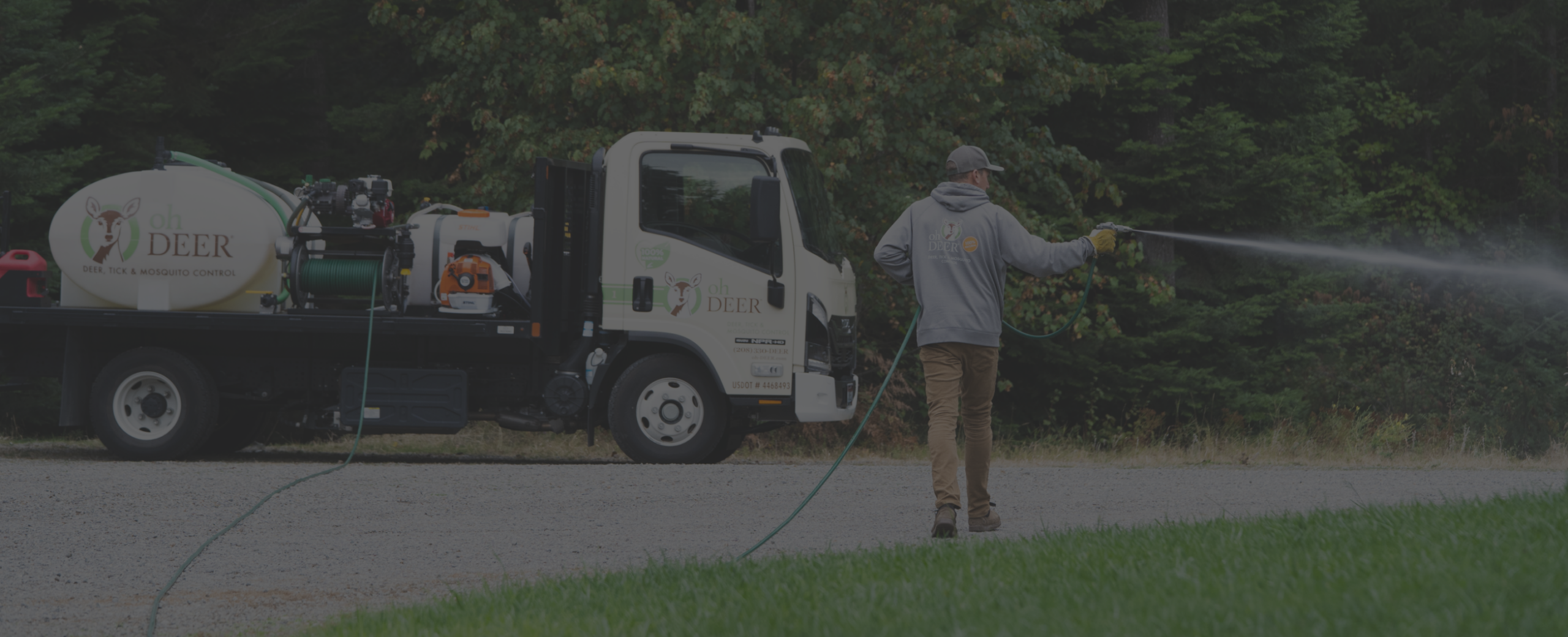 Enter Your Zip Code to Find Mosquito Control Near Me