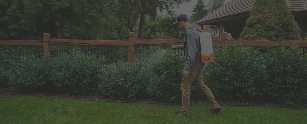 Get Your Free Deer Repellent Spray Quote