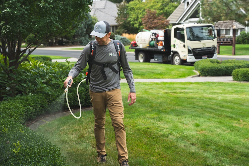 A service technician sprays a residential hedge with a backpack sprayer, a company truck parked nearby