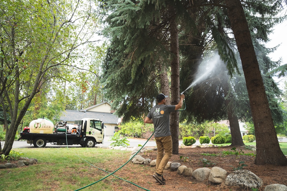 WHERE WE SPRAY