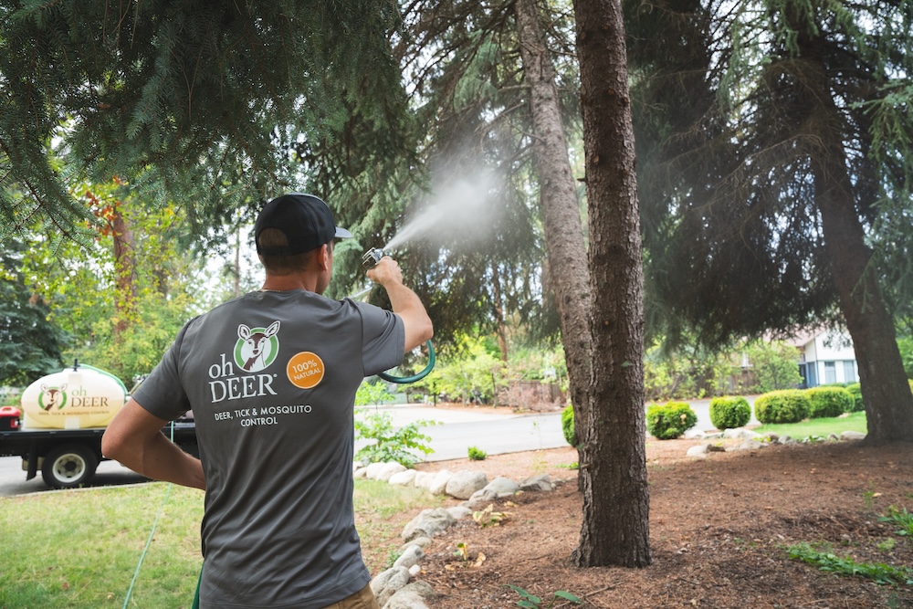FREE RESPRAYS
