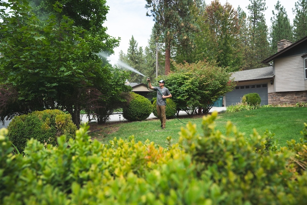 A uniformed professional sprays a large tree with a hose in a green residential yard. TITLE:
