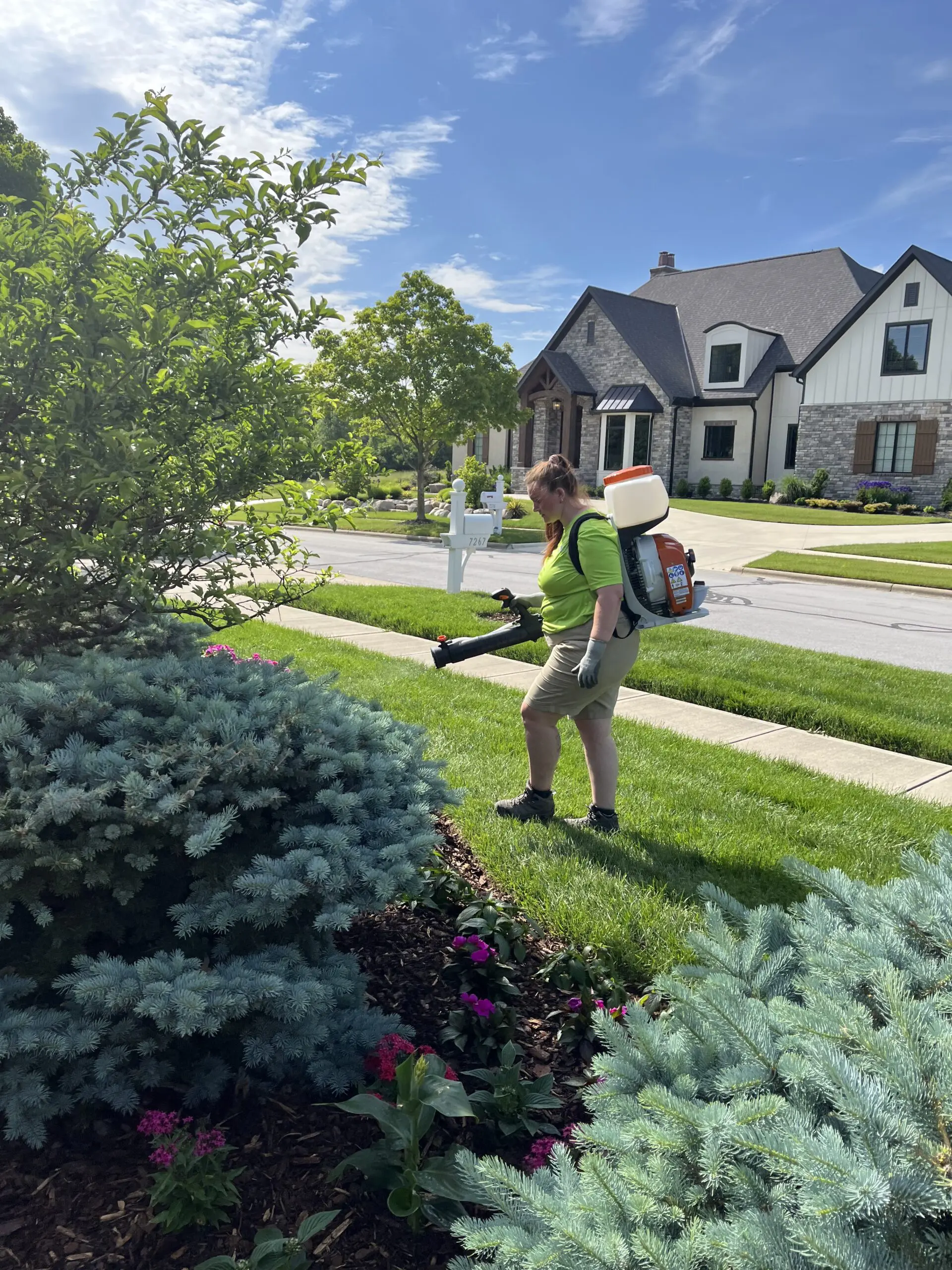 deer repellent spraying garden