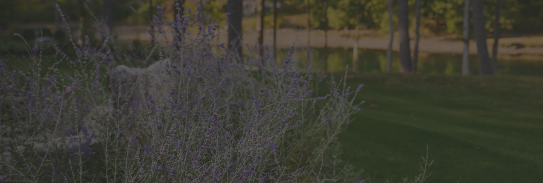 Get Your Free Deer Repellent Spray Quote
