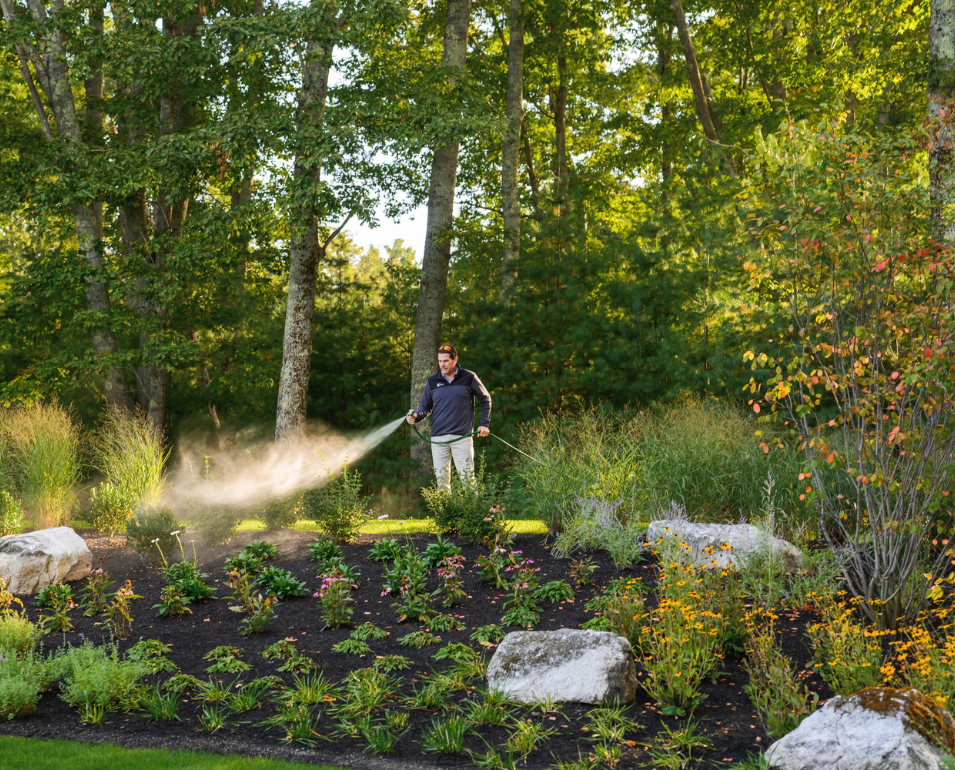 A man waters a newly planted garden bed with a hose, surrounded by trees and
