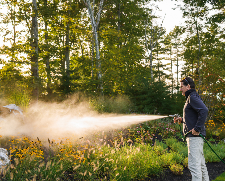 A man waters a vibrant garden with a hose, creating a misty spray illuminated by golden
