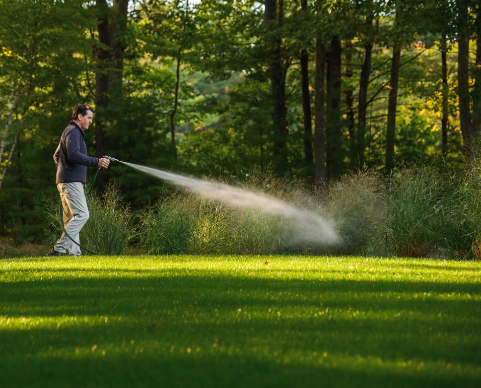 A man waters a lush green lawn with a garden hose, spraying water towards taller grass.
