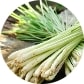 LEMONGRASS OIL: