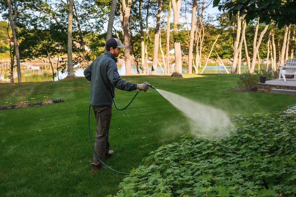 A man in a cap and jacket sprays green plants with a hose in a waterfront garden