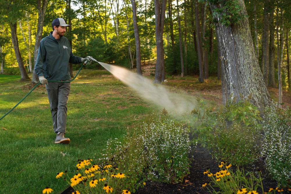 A man in a cap and jacket sprays water from a hose onto a vibrant garden