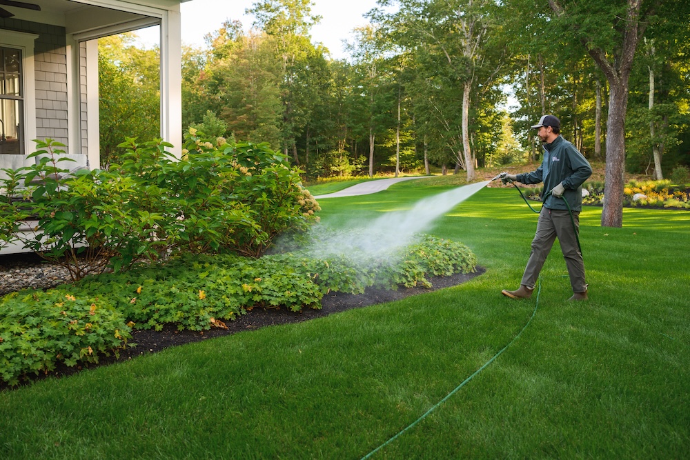A landscaper waters a lush garden bed with a hose, surrounded by a manic