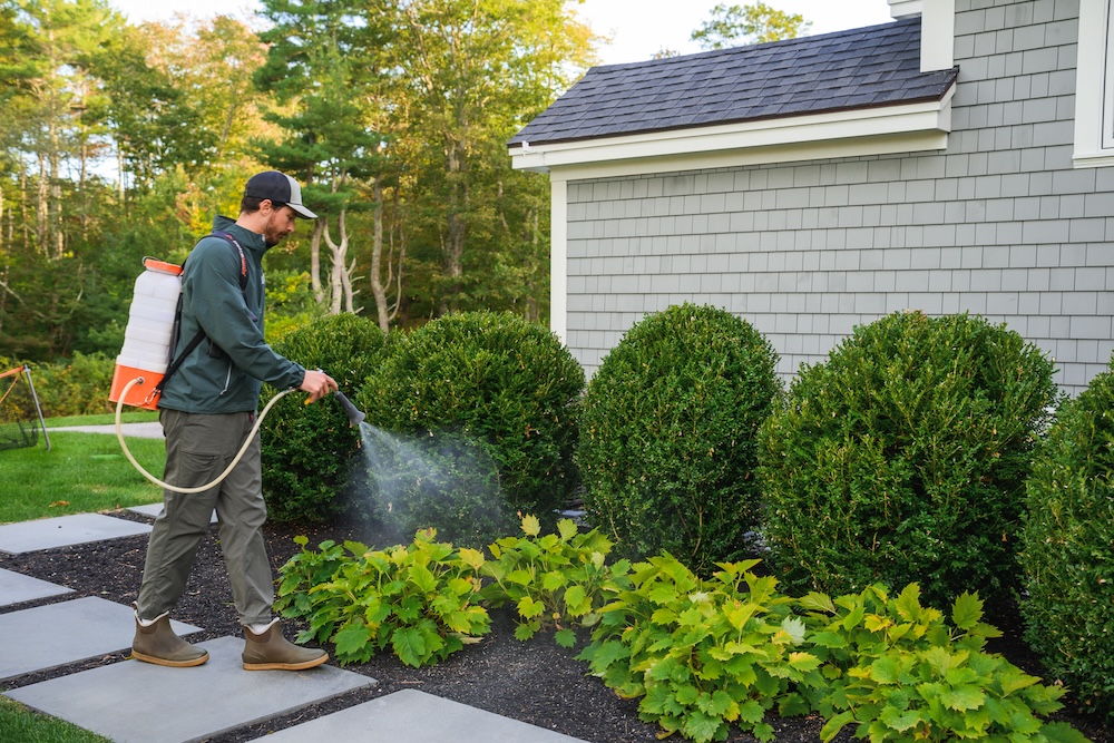 WORKS FAST & LASTS