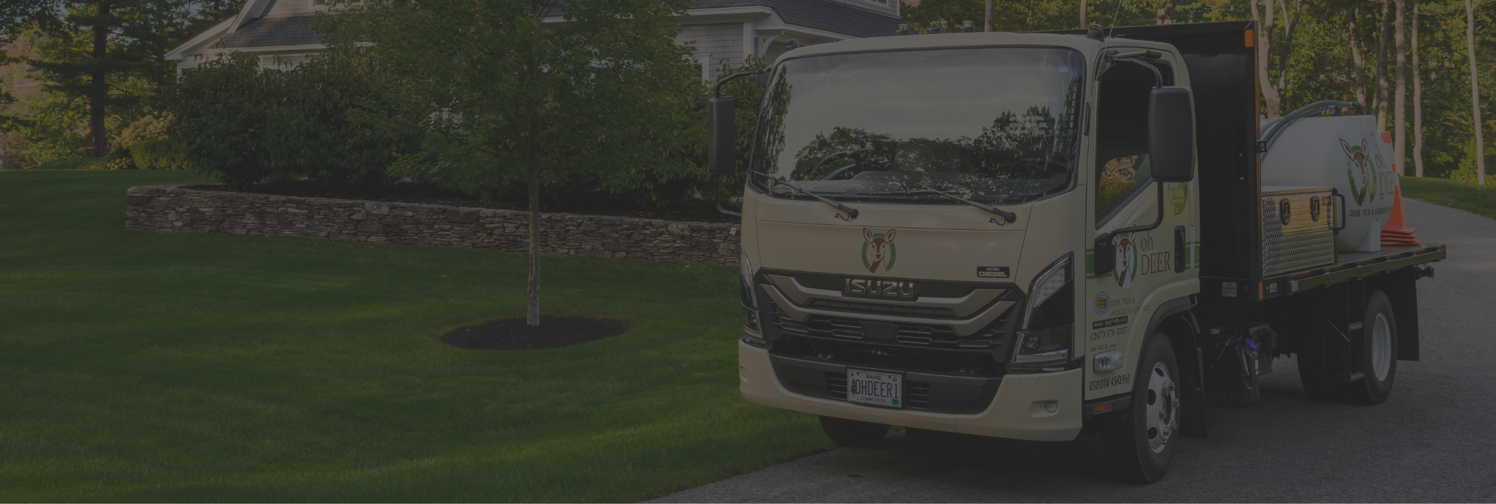 Enter Your Zip Code to Find Mosquito Control Near Me
