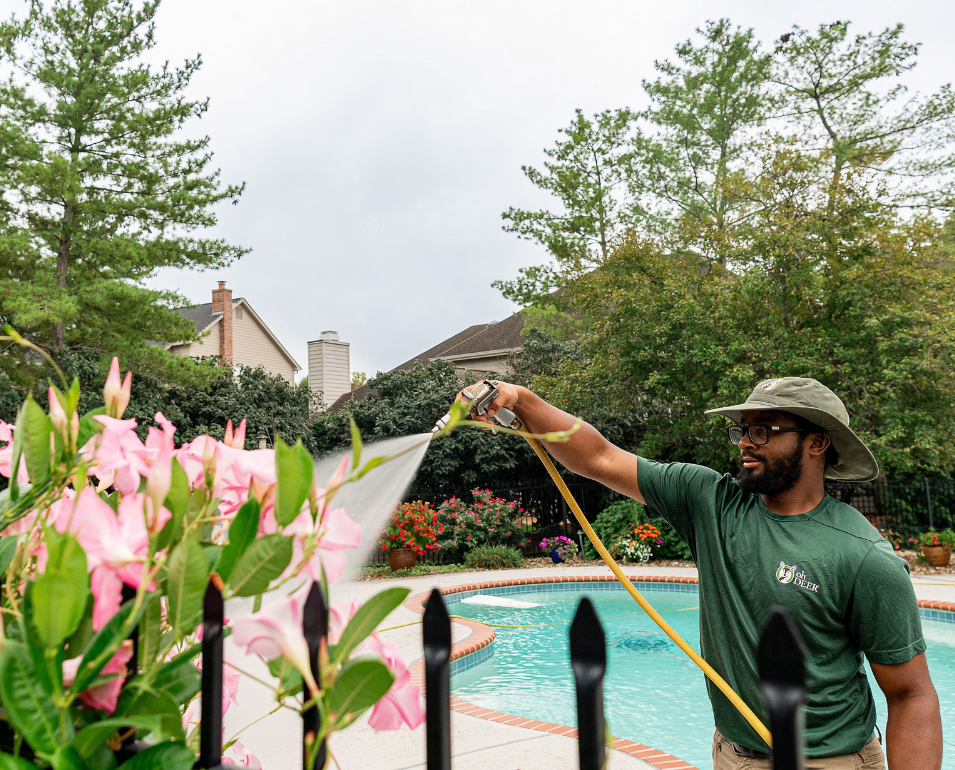 A landscaper in an 'Oh Deer' uniform waters pink flowers beside a backyard swimming