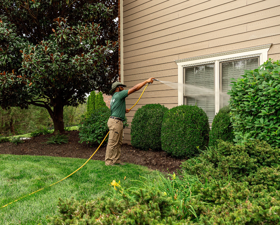 A uniformed technician sprays water from a hose onto bushes and the side of a tan