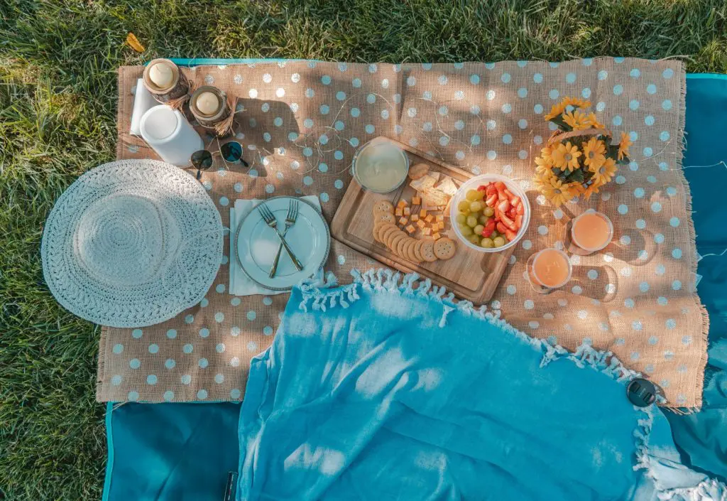 People enjoying a picnic thanks to All-Natural Tick & Mosquito Control