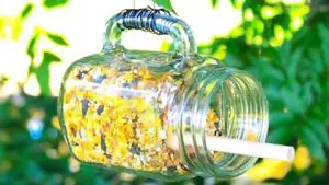 mason jar bird feeder