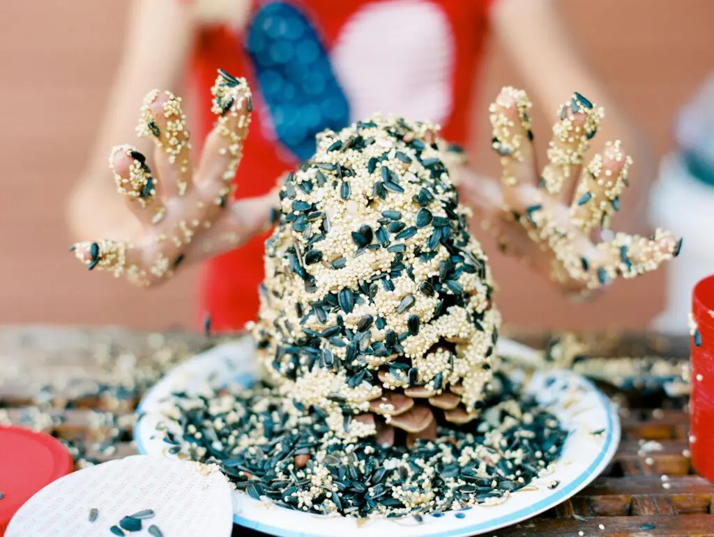 DIY bird feeder, pinecone 