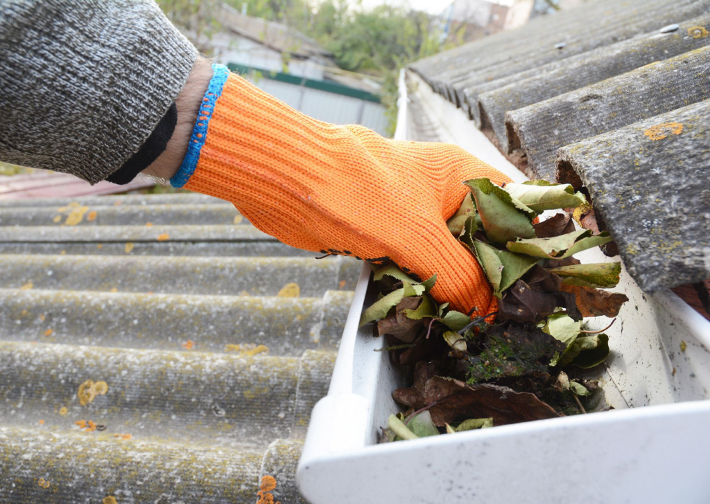 leaf removal from gutters 