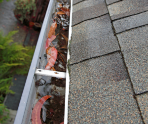 A clogged roof gutter is full of water, wet leaves, mosquitoes in gutters