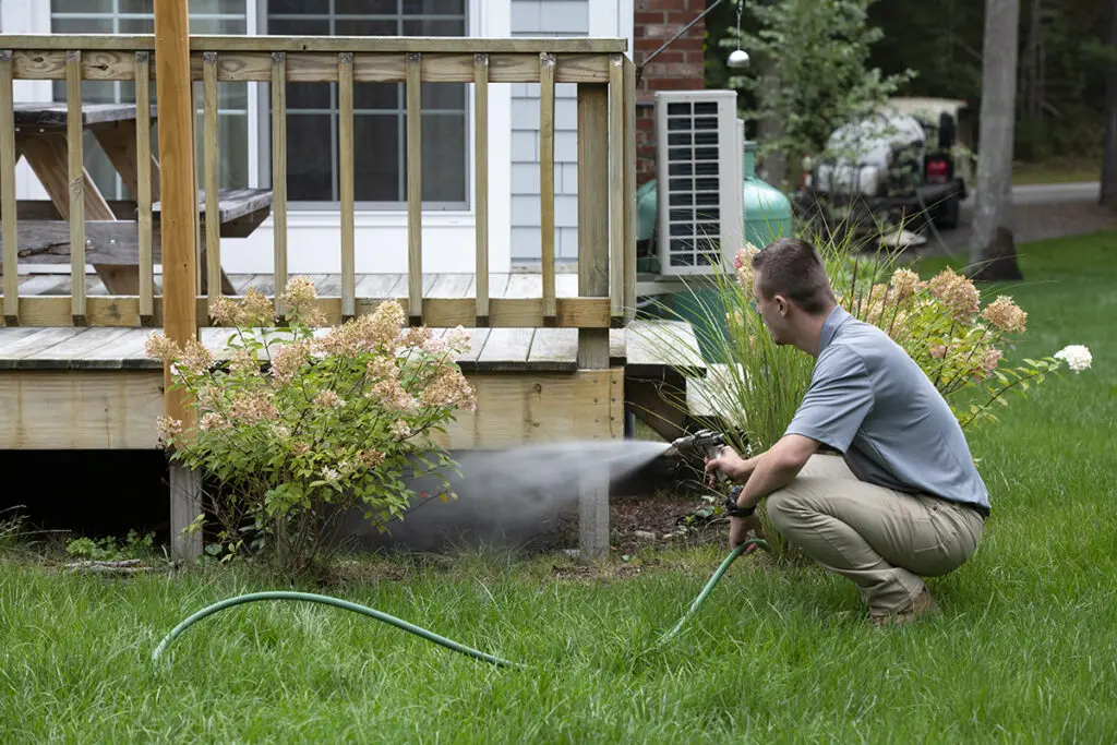A man crouches on green grass, spraying liquid from a hose towards the base of