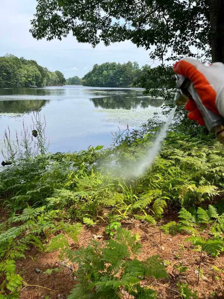 An orange-gloved hand sprays a stream of water onto green ferns by a calm lake.