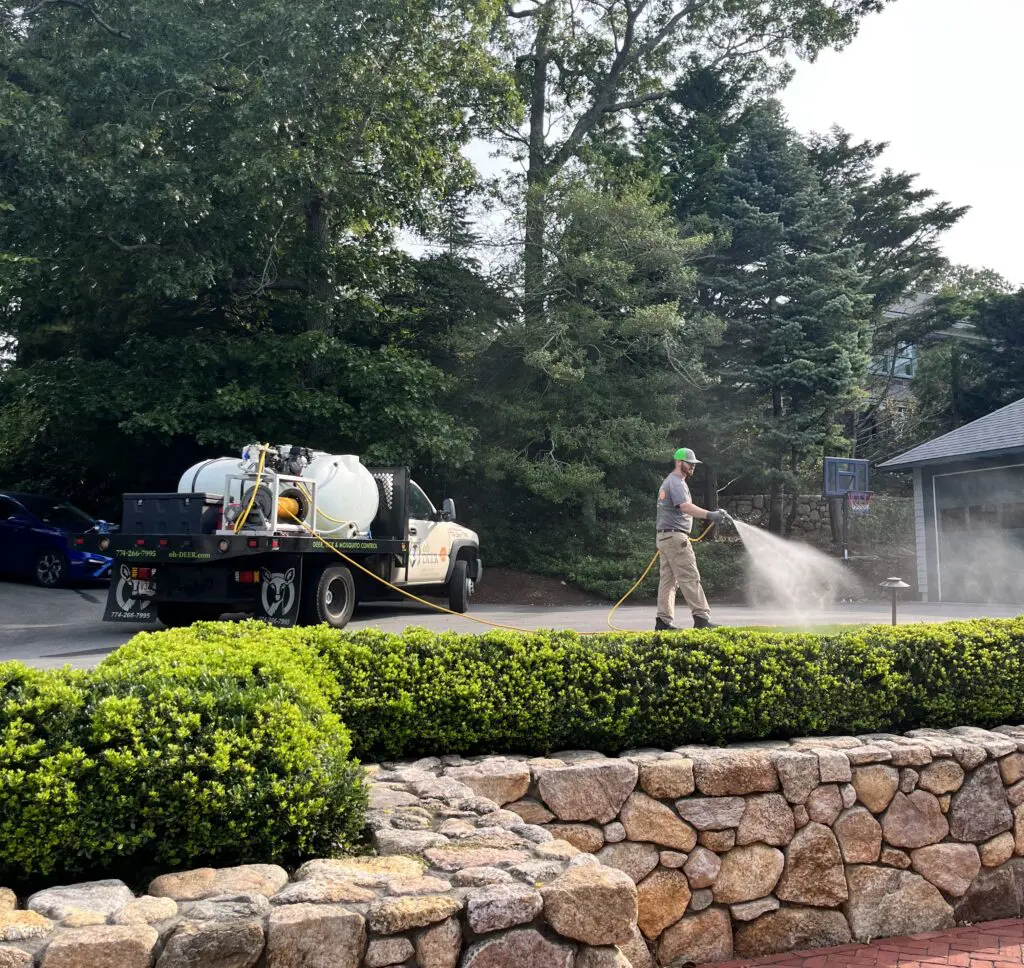 A pest control worker sprays bright green hedges from an 'Oh Deer' branded truck.