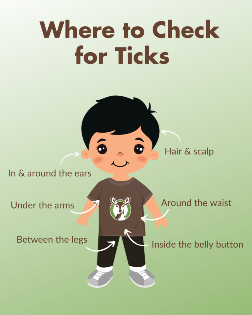 An illustration of a child with arrows pointing to common body areas for tick checks. ohDEER
