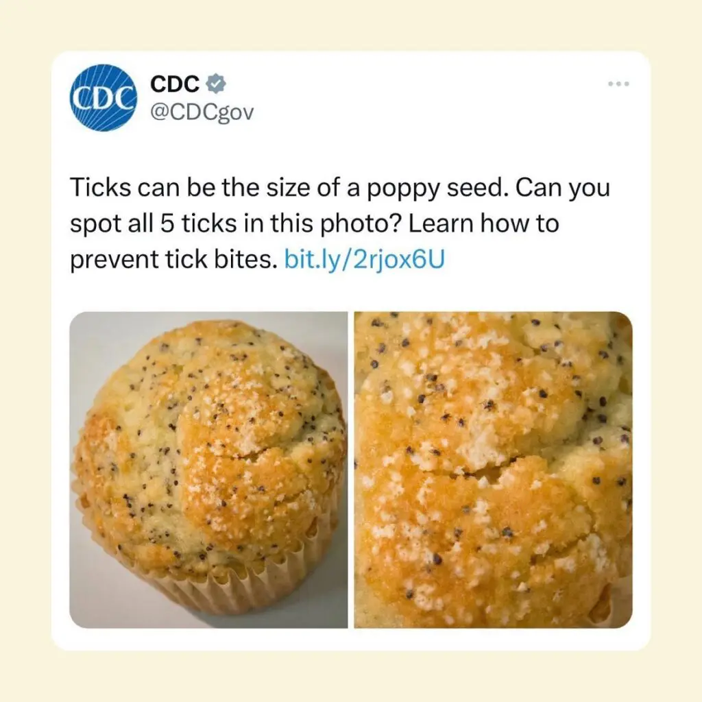 A CDC tweet features a poppy seed muffin with five tiny ticks hidden, illustrating how