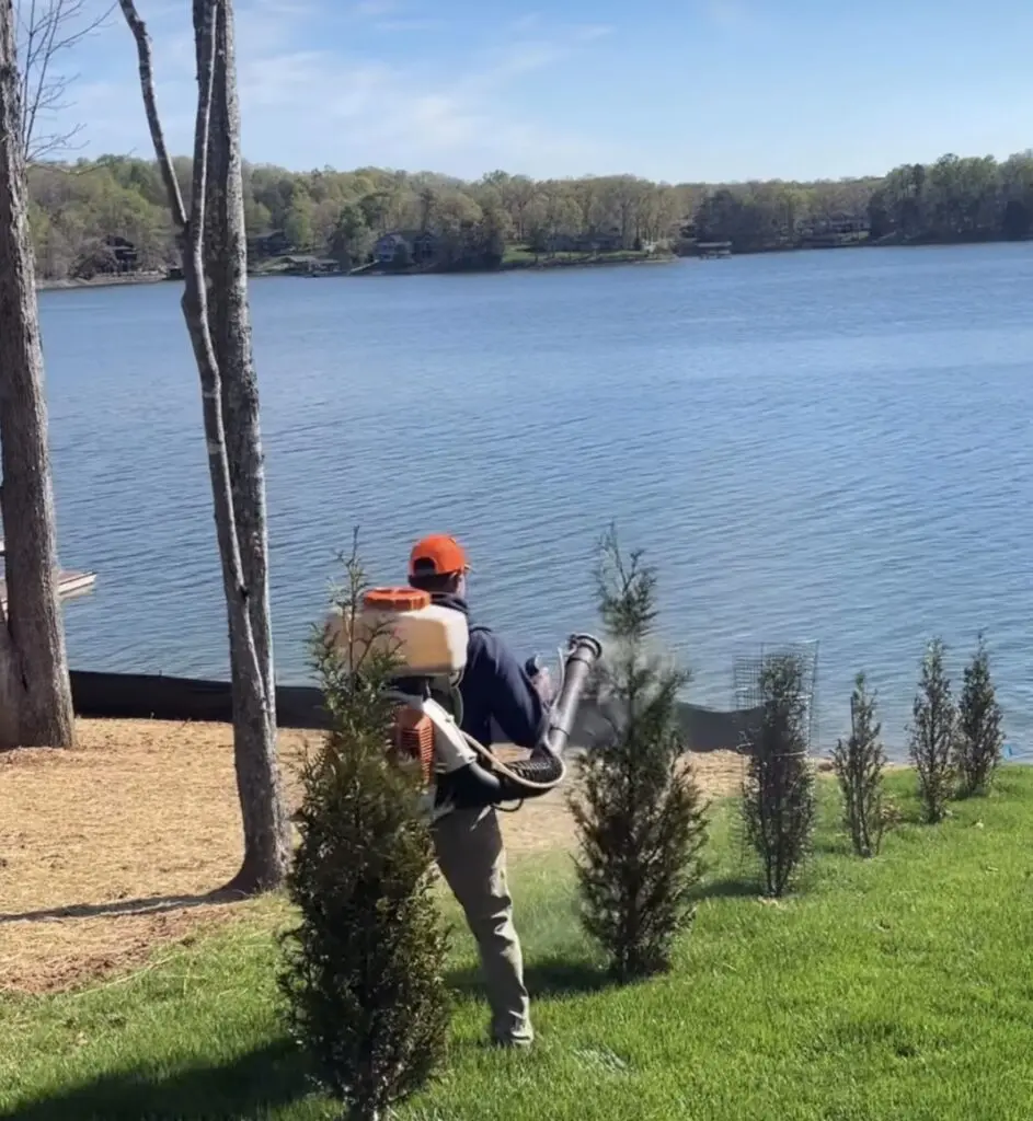 A person with a backpack sprayer treats small evergreen trees on a grassy slope overlooking a