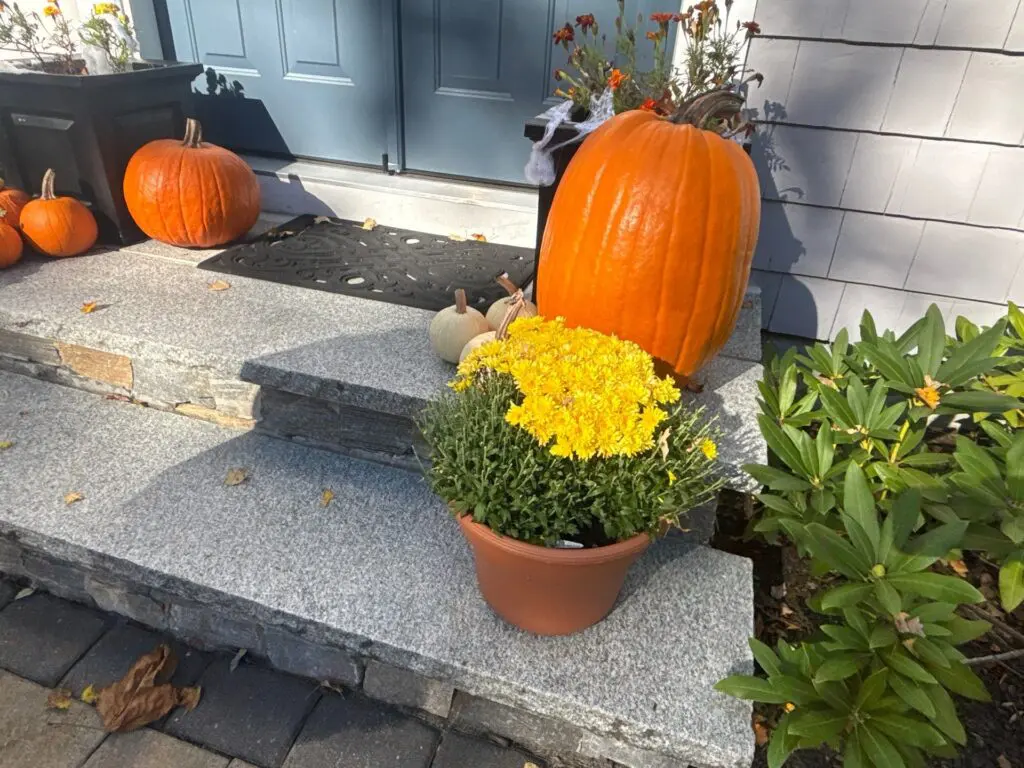 Orange pumpkins, white gourds, and yellow mums decorate a sunny granite porch for autumn.