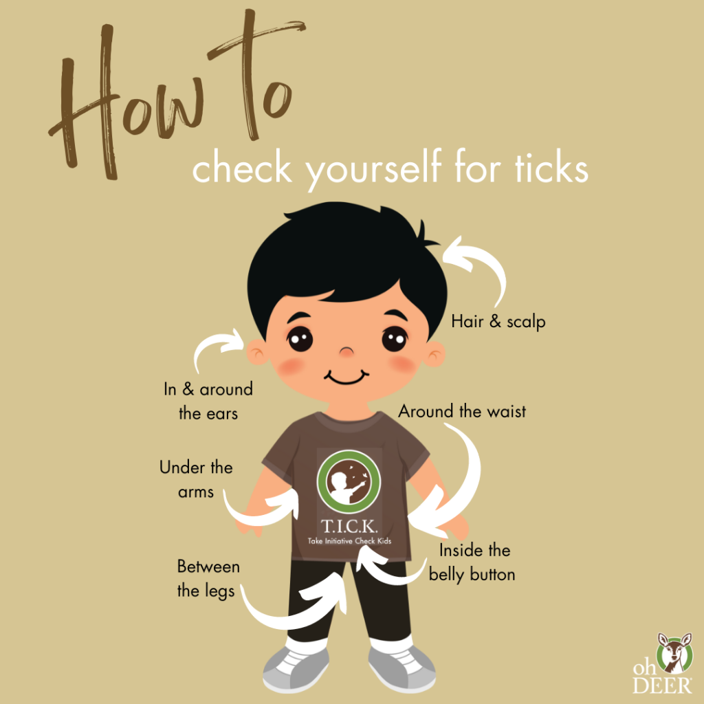 Diagram of the best spots to check yourself or others for ticks 