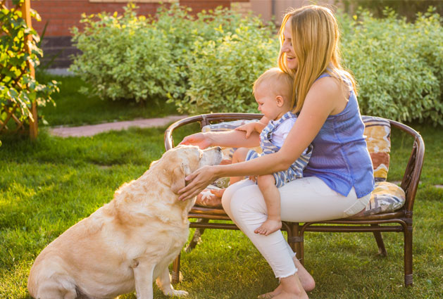 A lady and her child loving on their dog in their backyard after receiving mosquito and tick spray services. 