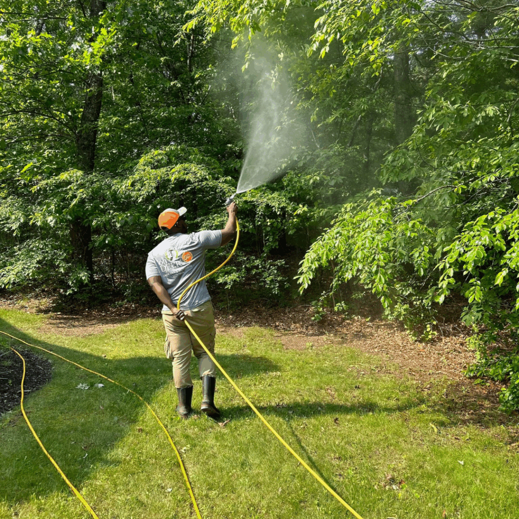 ohDEER technician spraying all-natural tick and mosquito control 