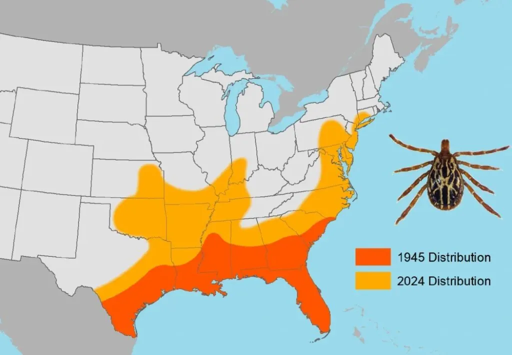 map of gulf coast tick migration