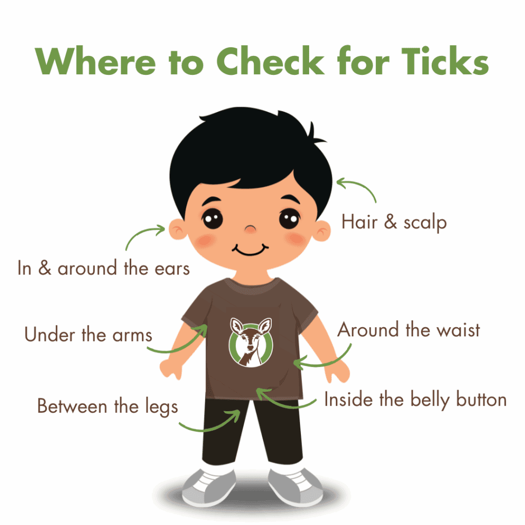 tick check diagram where to check for ticks 