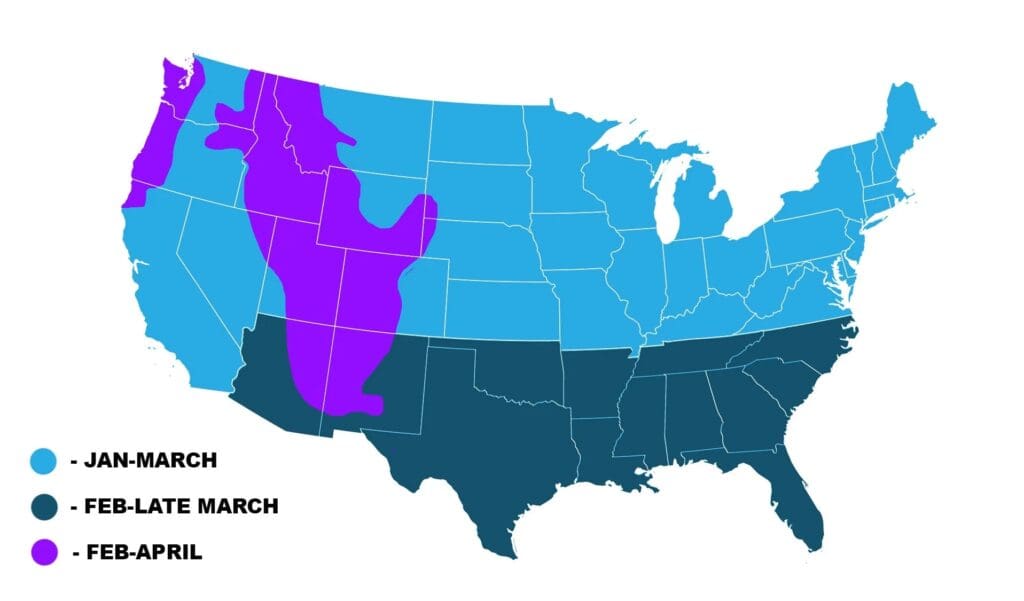 when do deer shed their antlers map