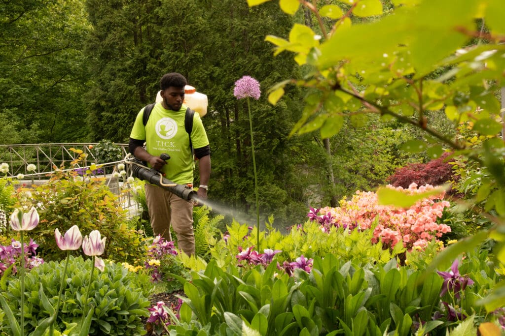 ohDEER technician spraying All-Natural Deer Control on flowers