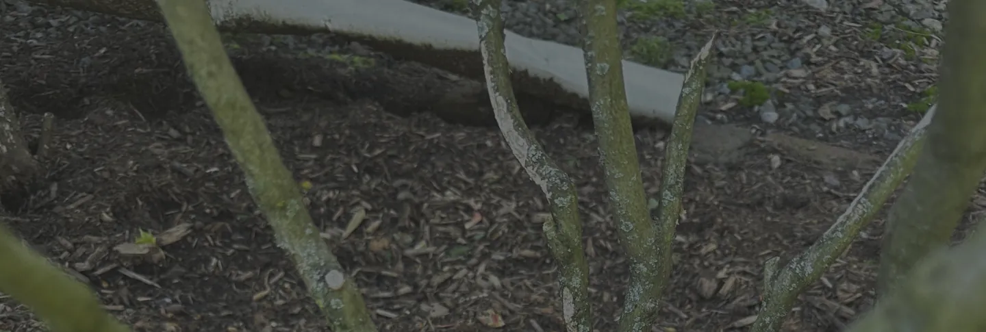 Enter Your Zip Code to Get Matched with a Local Expert