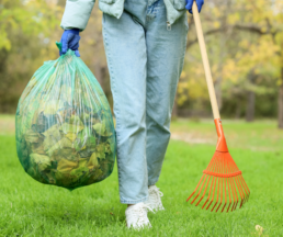 tick safe yard maintenance