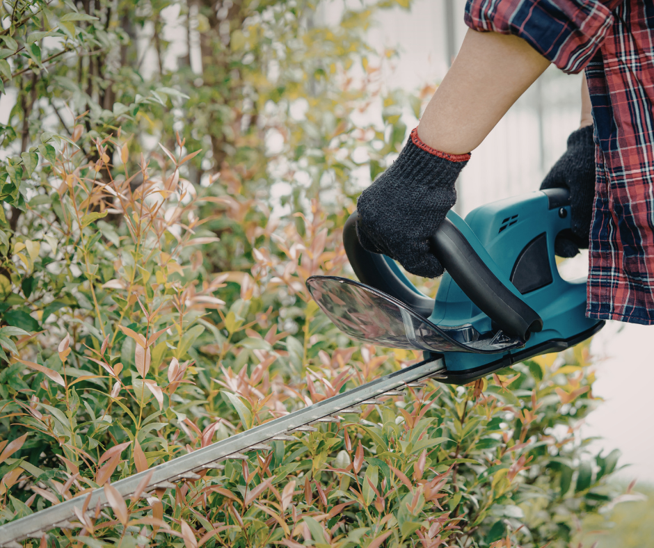 tick safe yard maintenance 