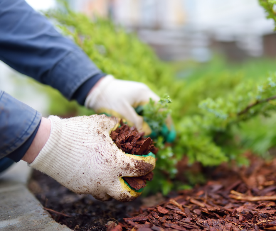 mulch barrier to prevent ticks 