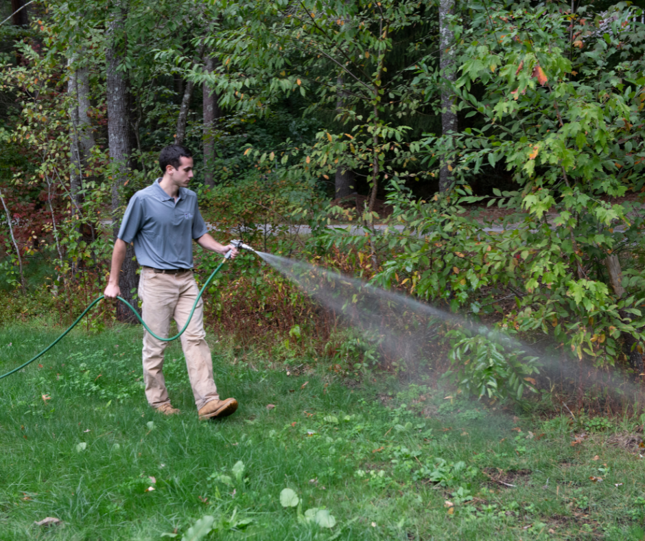 spraying edge of yard with ohDEER's all natural tick control 