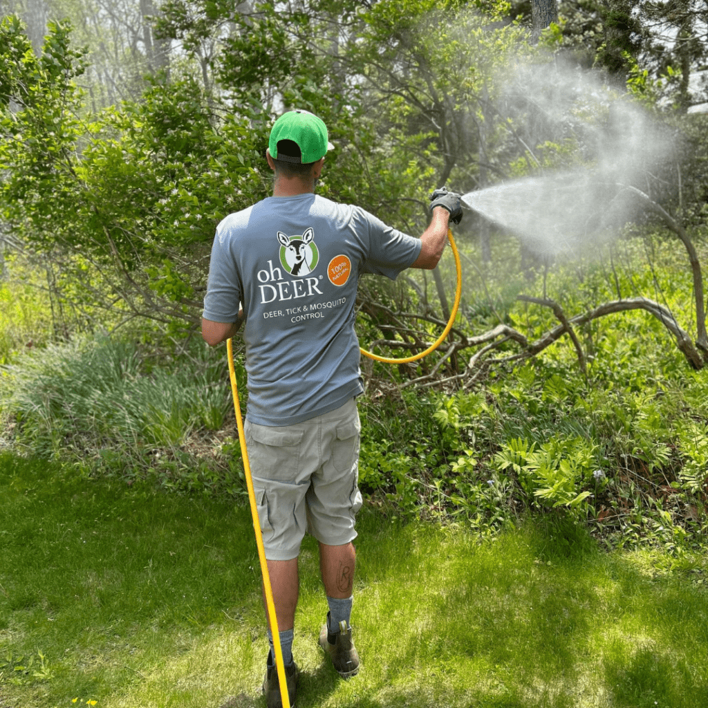ohDEER technician spraying all-natural tick & mosquito control 
