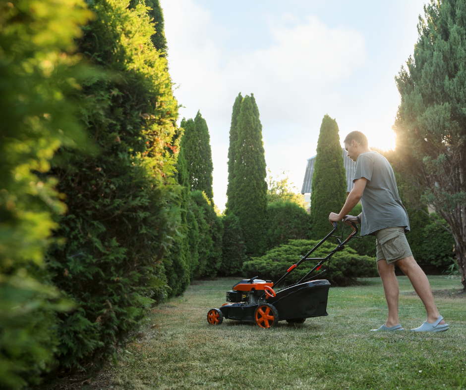reduce tick exposure by mowing lawn 